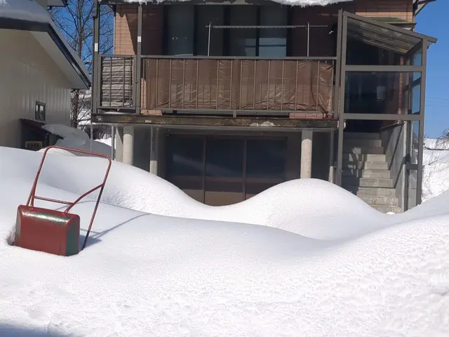 屋根の雪下ろし、雪かきいたしますサービスの画像