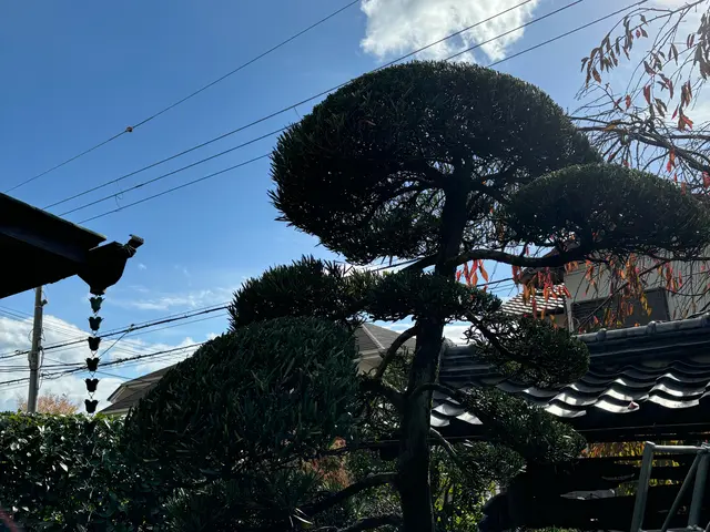 【新規出店キャンペーン】5年の実績★臨機応変対応◉満足度優先！今月対応可能！！サービスの画像