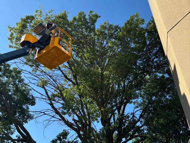 【新規出店キャンペーン】5年の実績★臨機応変対応◉満足度優先！今月対応可能！！サービスの画像