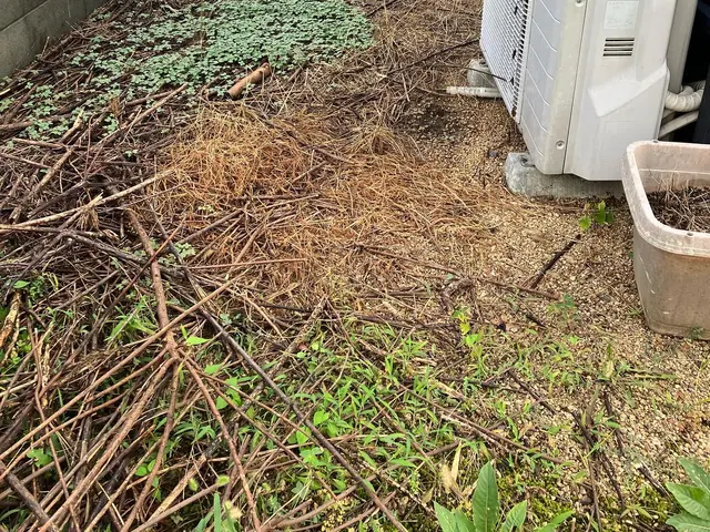 業界歴10年以上の経験‼芝張りはもちろんのこと！お庭のリフォーム何なりと♪♪♪サービスの画像