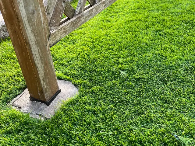 業界歴10年以上の経験‼芝張りはもちろんのこと！お庭のリフォーム何なりと♪♪♪サービスの画像