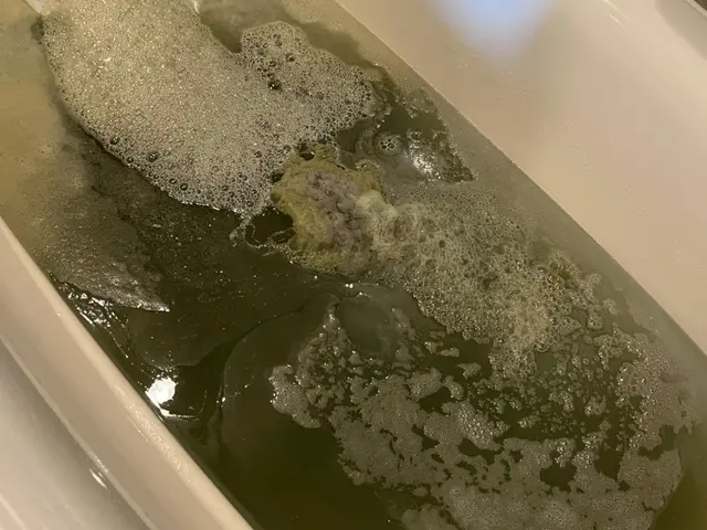 【毎日4-5件依頼受注】浴槽清掃PROｰ経験と強力専用薬品をフル活用でピカピカサービスの画像