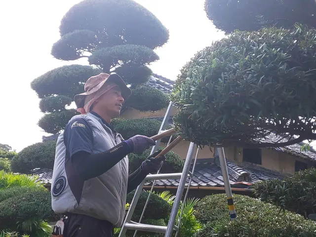 【造園歴28年のプロだから安心◎】営業時間外や対応地域外もご相談可能です！サービスの画像