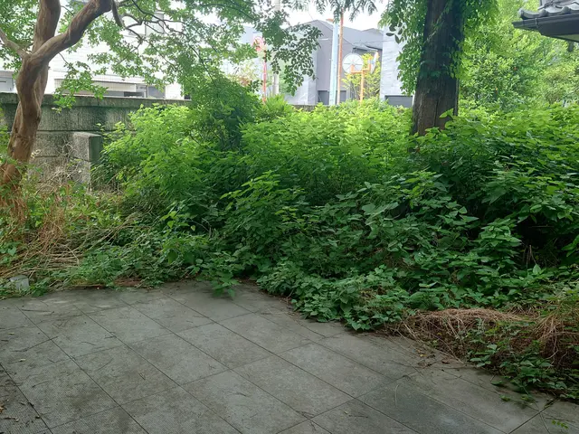 あなたの「困った」を当社スタッフが全力で解決します！サービスの画像