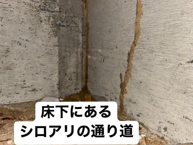 【環境省の認定事業者】☆国家資格あり☆5年保証☆月10件対応サービスの画像