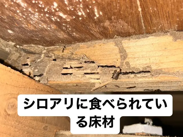 【環境省の認定事業者】☆国家資格あり☆5年保証☆月10件対応サービスの画像
