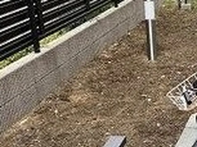 【12月28日まで！年内最後キャンペーン】面倒な草むしりはマルっとお任せくださいサービスの画像