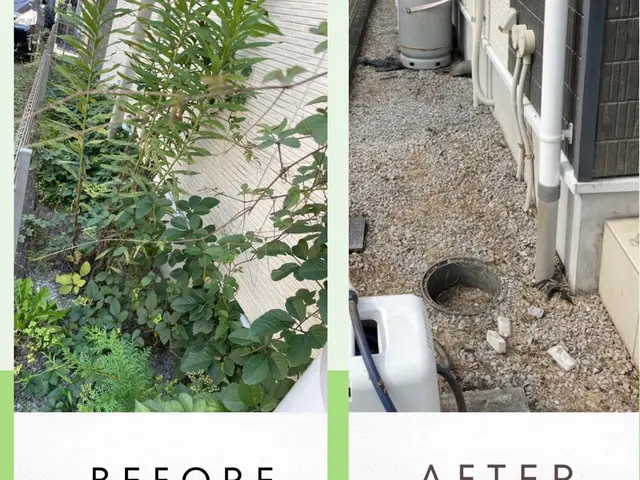 【12月28日まで！年内最後キャンペーン】面倒な草むしりはマルっとお任せくださいサービスの画像