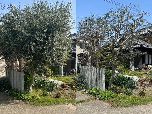 [くらしのマーケット]始めました！丁寧な庭木の剪定はお任せください。サービスの画像