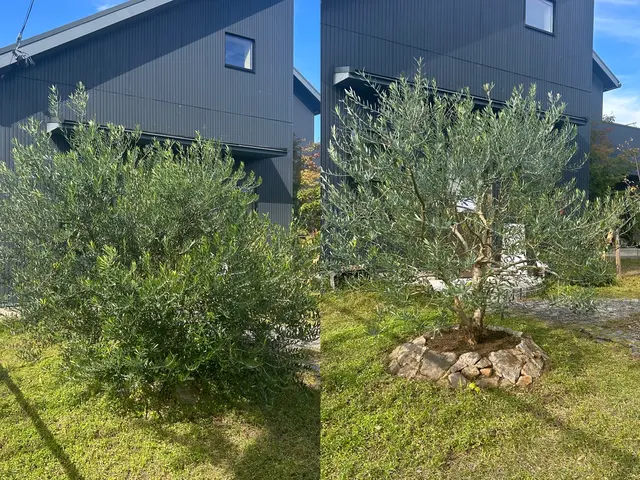 [くらしのマーケット]始めました！丁寧な庭木の剪定はお任せください。サービスの画像