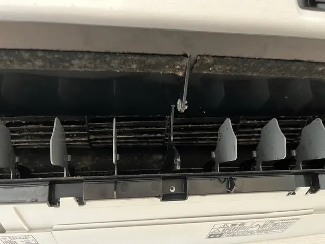 綺麗な風を浴びませんか！？サービスの画像