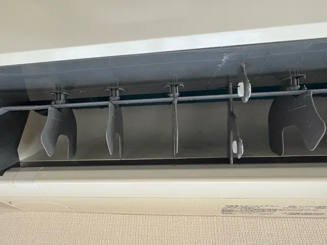 綺麗な風を浴びませんか！？サービスの画像