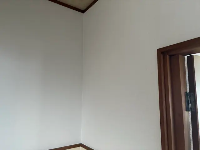 ダメかなこれ？壁の穴、壁紙の補修などご相談下さいサービスの画像