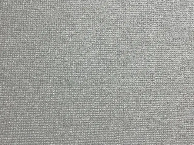 ダメかなこれ？壁の穴、壁紙の補修などご相談下さいサービスの画像