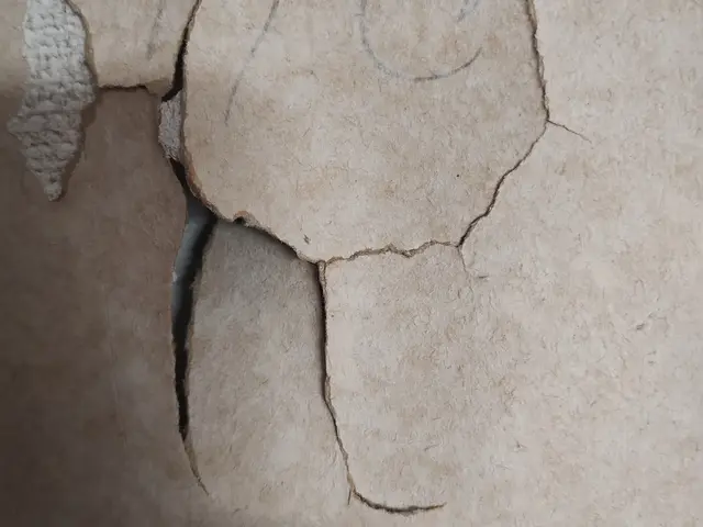 ダメかなこれ？壁の穴、壁紙の補修などご相談下さいサービスの画像