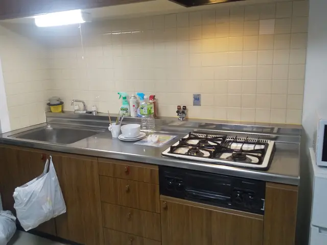 レンジフードやシンク、ガスコンロなどをピカピカに☆サービスの画像