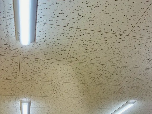 プロの技術でご満足いただけるように心を込めて作業いたしますサービスの画像