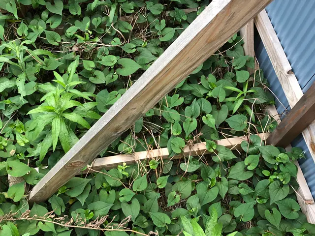 《当日予約、即応/土日祝日も可》クレカ支払いＯＫ★駐車代当方負担！現地調査無料サービスの画像