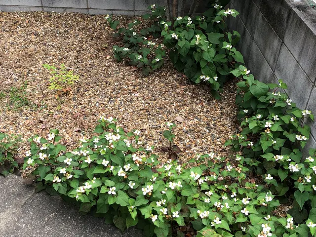 《当日予約、即応/土日祝日も可》クレカ支払いＯＫ★駐車代当方負担！現地調査無料サービスの画像