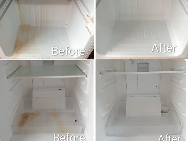 匂い・汚れを除去！清潔・綺麗な冷蔵庫クリーニングサービスの画像
