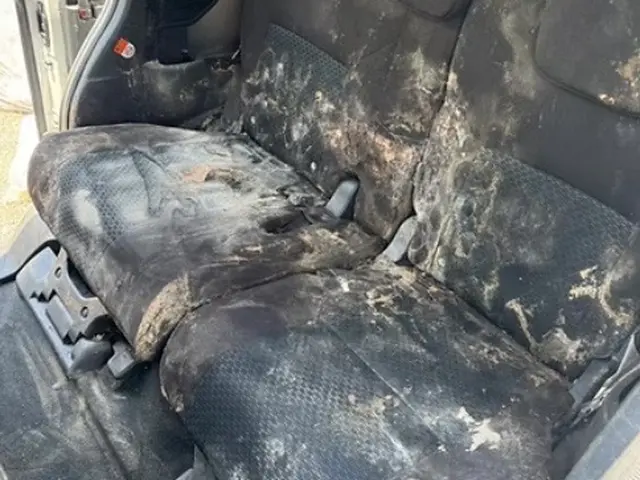 ピカピカ大絶賛！priceless！年末年始のお掃除前に是非一度クリーニングを。サービスの画像