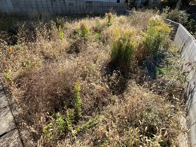 ◇刈払機を使用し広範囲の草刈りにご対応◇作業立会い不要◇刈払機取扱作業者資格保有サービスの画像