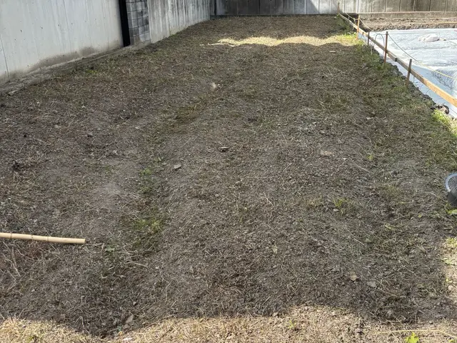 ◇刈払機を使用し広範囲の草刈りにご対応◇作業立会い不要◇刈払機取扱作業者資格保有サービスの画像