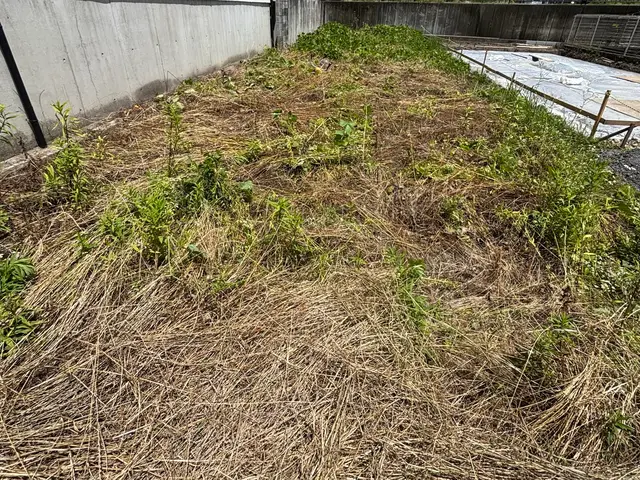 ◇刈払機を使用し広範囲の草刈りにご対応◇作業立会い不要◇刈払機取扱作業者資格保有サービスの画像