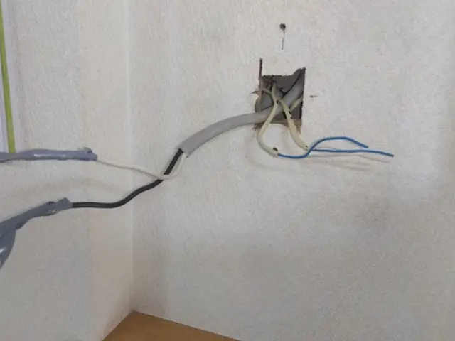 【損害賠償保険加入】【処分費無料】電気工事士による安心施工です^⁠_⁠^サービスの画像