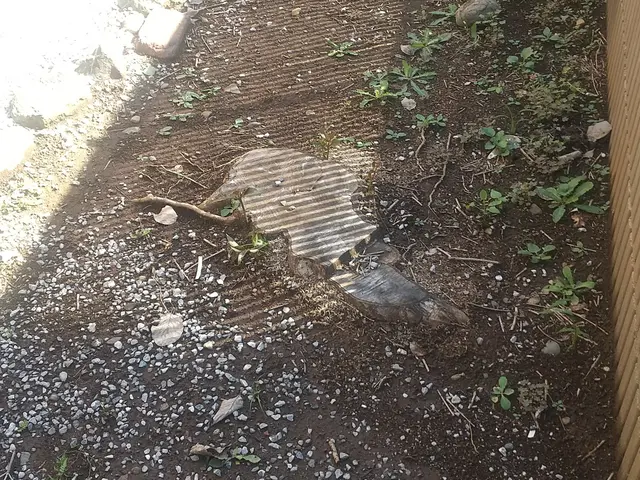 閲覧頂きありがとうございます 仮予約の前にお問い合わせから概算ご提案致しますサービスの画像