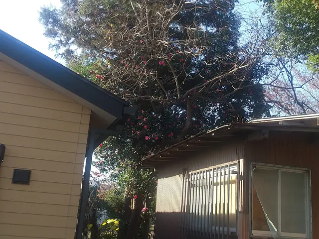 閲覧頂きありがとうございます 仮予約の前にお問い合わせから概算ご提案致しますサービスの画像