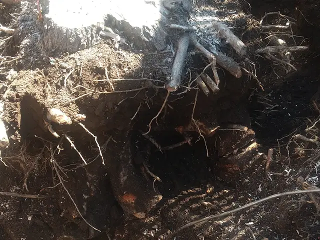 閲覧頂きありがとうございます 仮予約の前にお問い合わせから概算ご提案致しますサービスの画像