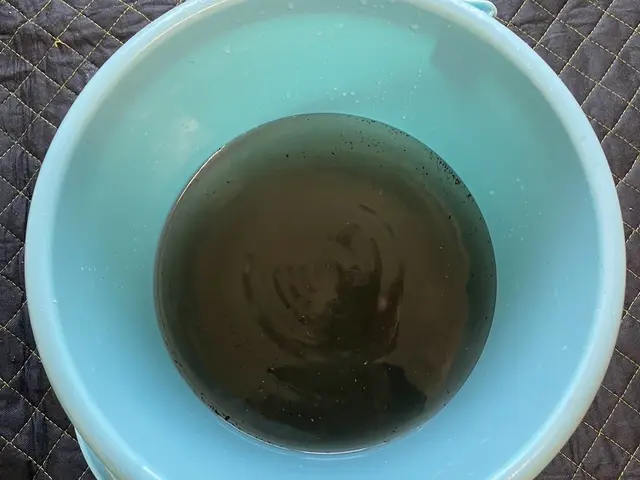 【新規出店キャンペーン実施中！】即レス即対応！今月空きあります！サービスの画像