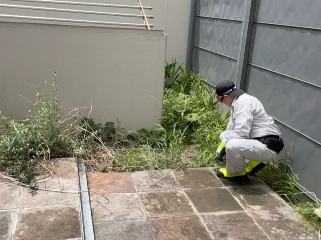 草むしり・草刈りサービスの画像
