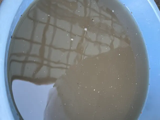 プロの技術でご満足いただけるように心を込めて作業いたしますサービスの画像