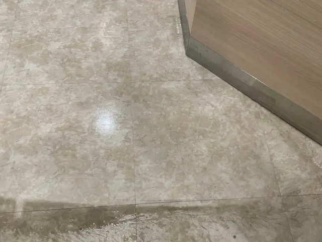 店舗、事務所の床清掃サービスの画像