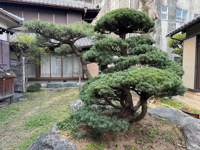 プロの技術でご満足いただけるように心を込めて作業いたしますサービスの画像