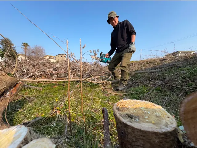 プロの技術でご満足いただけるように心を込めて作業いたしますサービスの画像