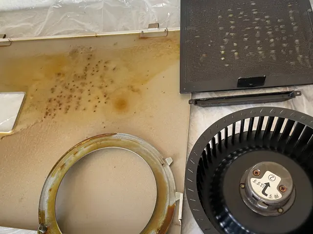 【女性も安心！20年以上の実績】☆困った油汚れもスッキリ！お任せくださいね☆サービスの画像