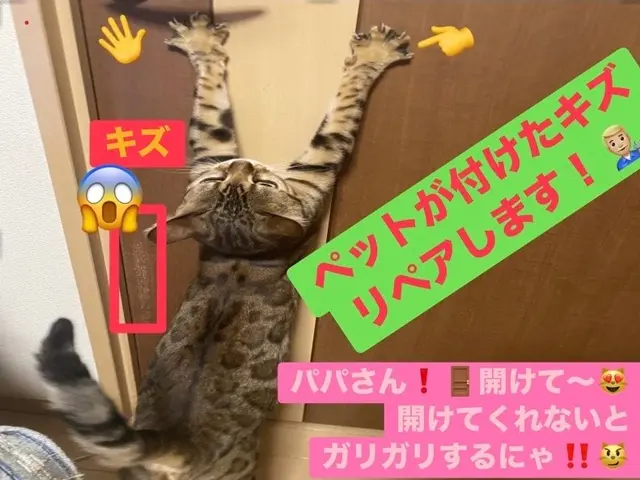 【建築のプロが直接対応】◎構造と材質を知り尽くした店長による補修サービス◎サービスの画像