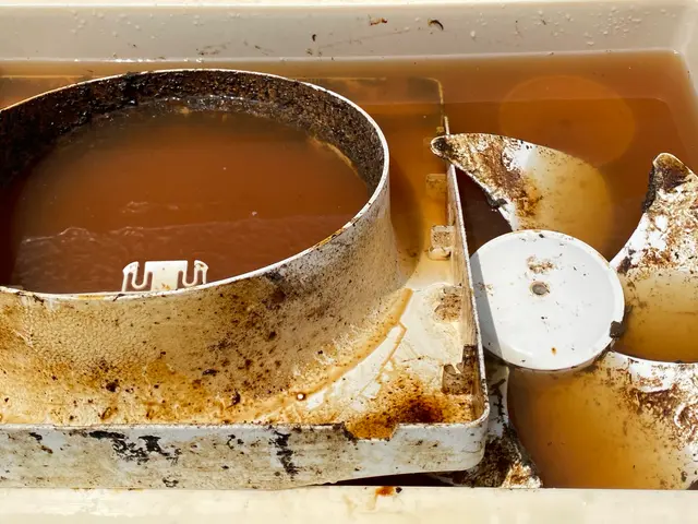 プロペラ剥き出しタイプの換気扇洗浄です！【レンジフードなしタイプ】サービスの画像