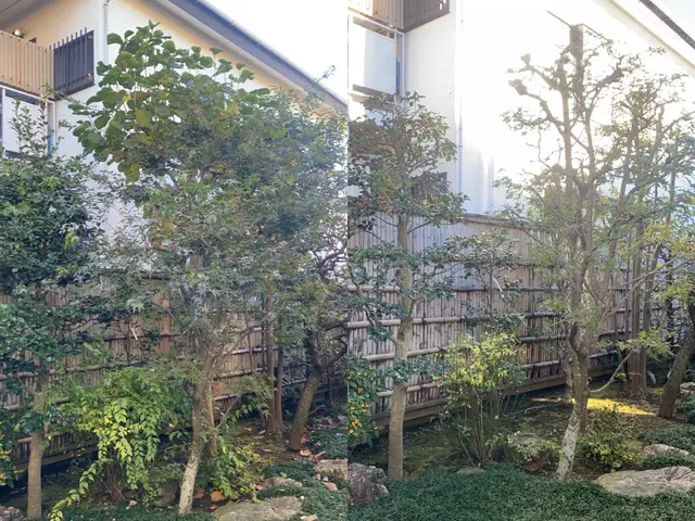 困っていませんか？伸びすぎた樹木！『庭木お手入れ、伐採専門店』サービスの画像