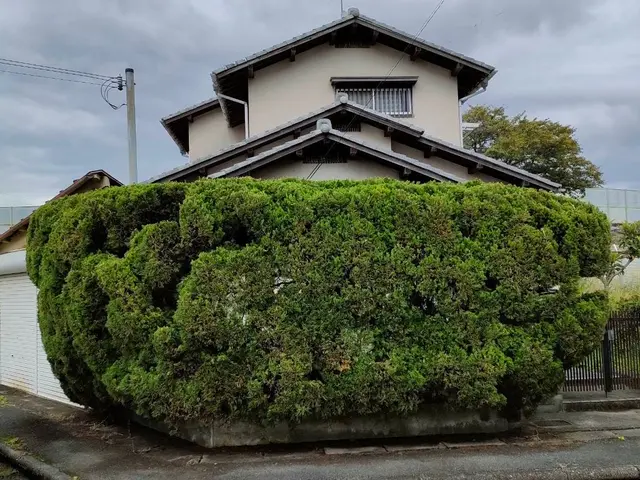 【年間施工実績500件超！】駐車代お店負担！丁寧きれいに仕上げます！サービスの画像
