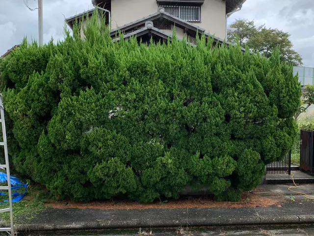 【年間施工実績500件超！】駐車代お店負担！丁寧きれいに仕上げます！サービスの画像