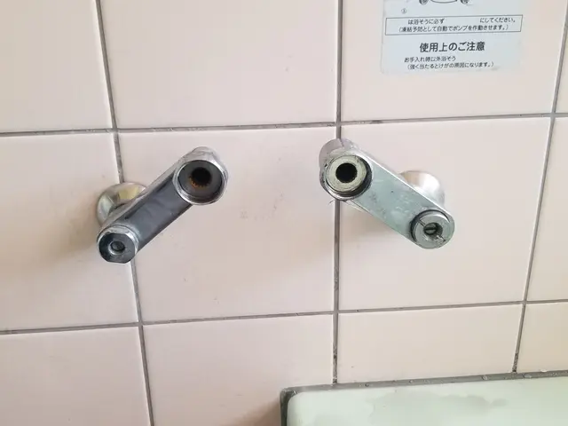 シャワーヘッド、ホースの交換サービスの画像