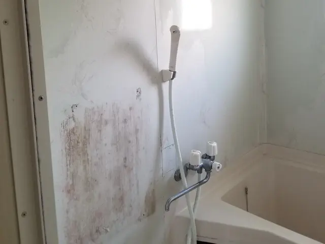 シャワーヘッド、ホースの交換サービスの画像