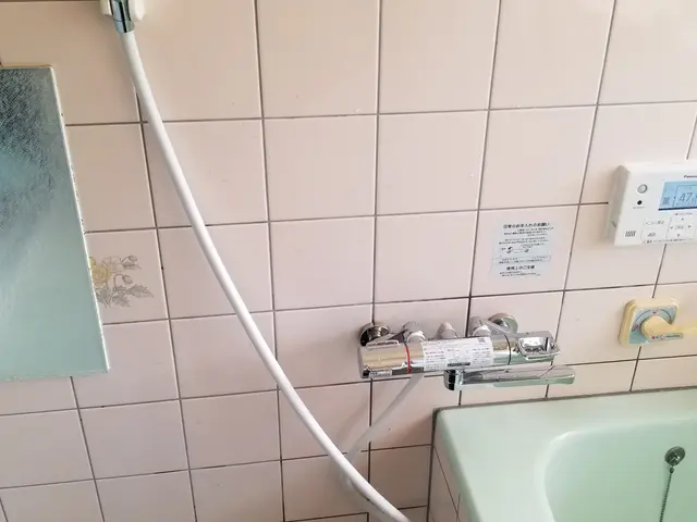 シャワーヘッド、ホースの交換サービスの画像