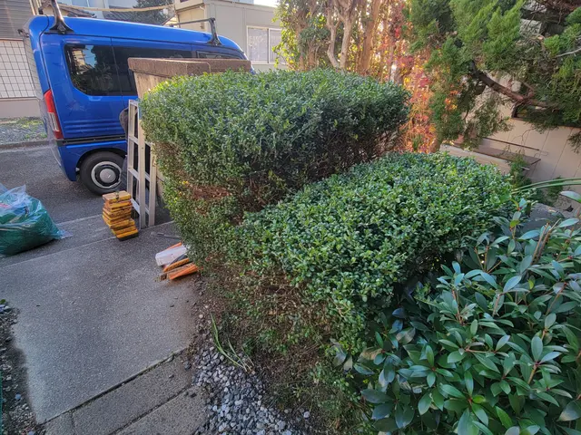 【岡山市東区発！】庭ストレス解消剪定サービス♪サービスの画像