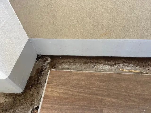 高圧洗浄機・ポリッシャー使用！手仕事で取れない泥やコケもスッキリ！ベランダ清掃サービスの画像