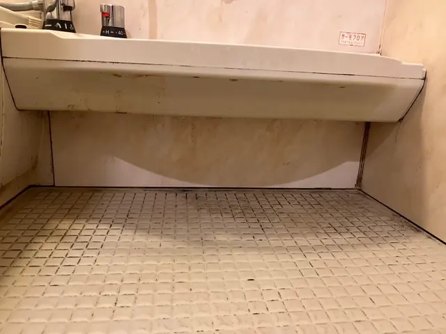 12月予約受付中★100%自社対応◎エプロン内込ウロコ取★保険加入◎大手経験豊富サービスの画像